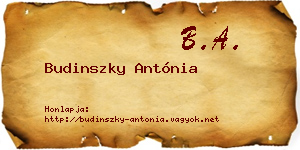 Budinszky Antónia névjegykártya